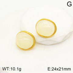 Stainless steel jewelry Earrings wholesale