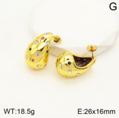 Stainless steel jewelry Earrings wholesale