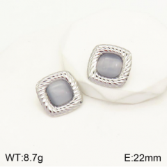 Stainless steel jewelry Earrings wholesale