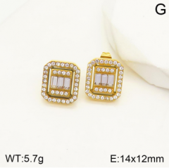 Stainless steel jewelry Earrings wholesale