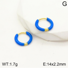 Stainless steel jewelry Earrings wholesale