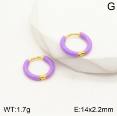 Stainless steel jewelry Earrings wholesale