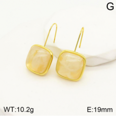 Stainless steel jewelry Earrings wholesale
