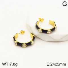 Stainless steel jewelry Earrings wholesale