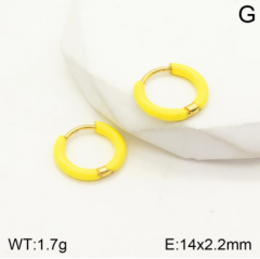 Stainless steel jewelry Earrings wholesale