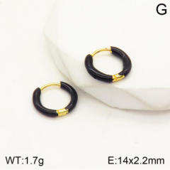 Stainless steel jewelry Earrings wholesale