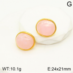 Stainless steel jewelry Earrings wholesale