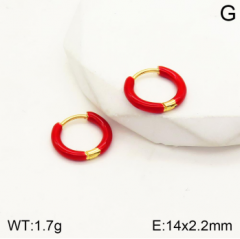 Stainless steel jewelry Earrings wholesale