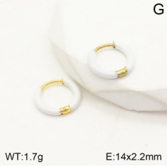 Stainless steel jewelry Earrings wholesale