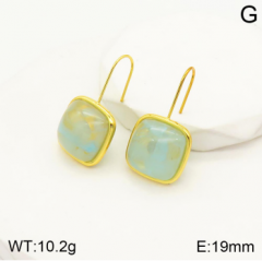 Stainless steel jewelry Earrings wholesale
