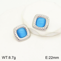 Stainless steel jewelry Earrings wholesale