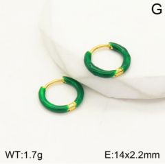 Stainless steel jewelry Earrings wholesale