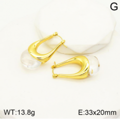 Stainless steel jewelry Earrings wholesale