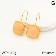 Stainless steel jewelry Earrings wholesale