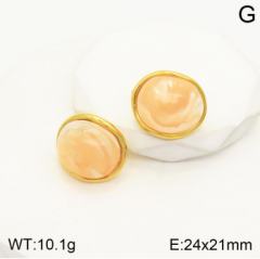 Stainless steel jewelry Earrings wholesale