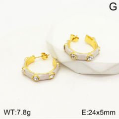 Stainless steel jewelry Earrings wholesale