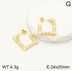 Stainless steel jewelry Earrings wholesale
