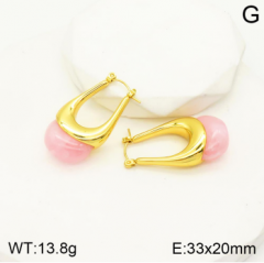Stainless steel jewelry Earrings wholesale