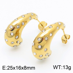 Stainless steel jewelry Earrings wholesale