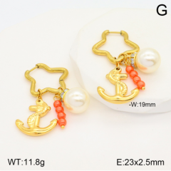 Stainless steel jewelry Earrings wholesale