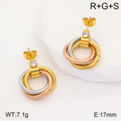 Stainless steel jewelry Earrings wholesale