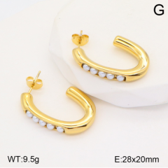 Stainless steel jewelry Earrings wholesale