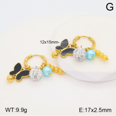 Stainless steel jewelry Earrings wholesale