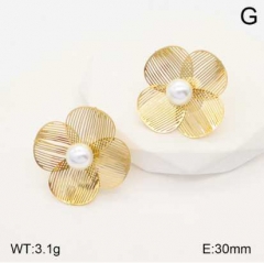Stainless steel jewelry Earrings wholesale