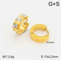 Stainless steel jewelry Earrings wholesale