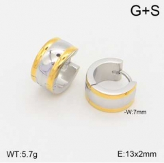 Stainless steel jewelry Earrings wholesale