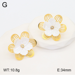 Stainless steel jewelry Earrings wholesale