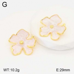 Stainless steel jewelry Earrings wholesale
