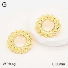 Stainless steel jewelry Earrings wholesale